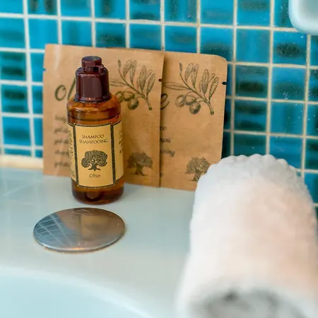 Le Dauphin - Vue Exceptionnelle - Clim - Wifi 公寓 芒通