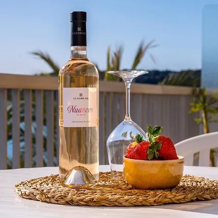 Le Dauphins Vue Exceptionnelle Mer Terrasse Climatisation شقة