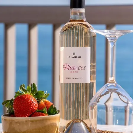 شقة Le Dauphins Vue Exceptionnelle Mer Terrasse Climatisation