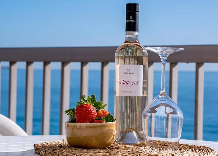 Le Dauphin Vue Exceptionnelle - Clim - Front * Menton