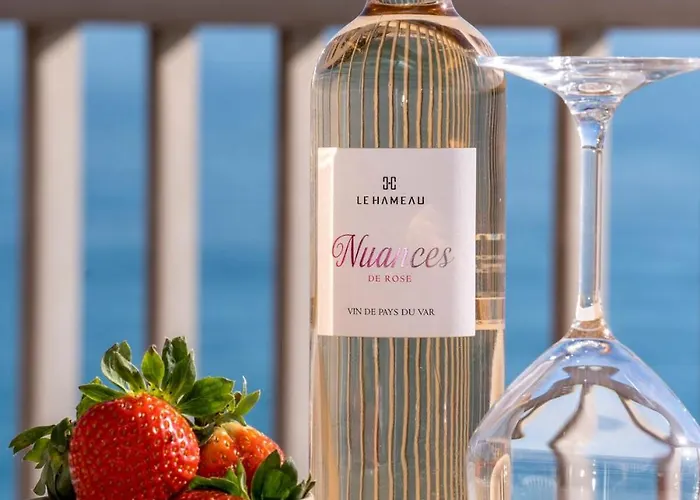 Le Dauphin Vue Exceptionnelle - Clim - Front Menton